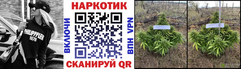 Как найти наркотики Пугачёв гидра маркетплейс ГАШ МАРИХУАНА Cocaine