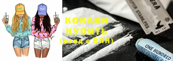 соль ск Новозыбков