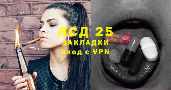 соль ск Новозыбков