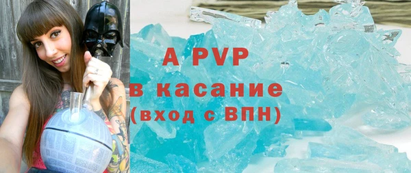 соль ск Новозыбков