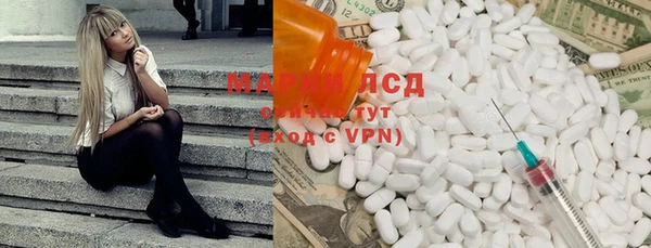 соль ск Новозыбков