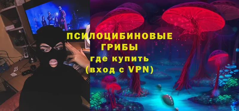 Галлюциногенные грибы Cubensis  Пугачёв 